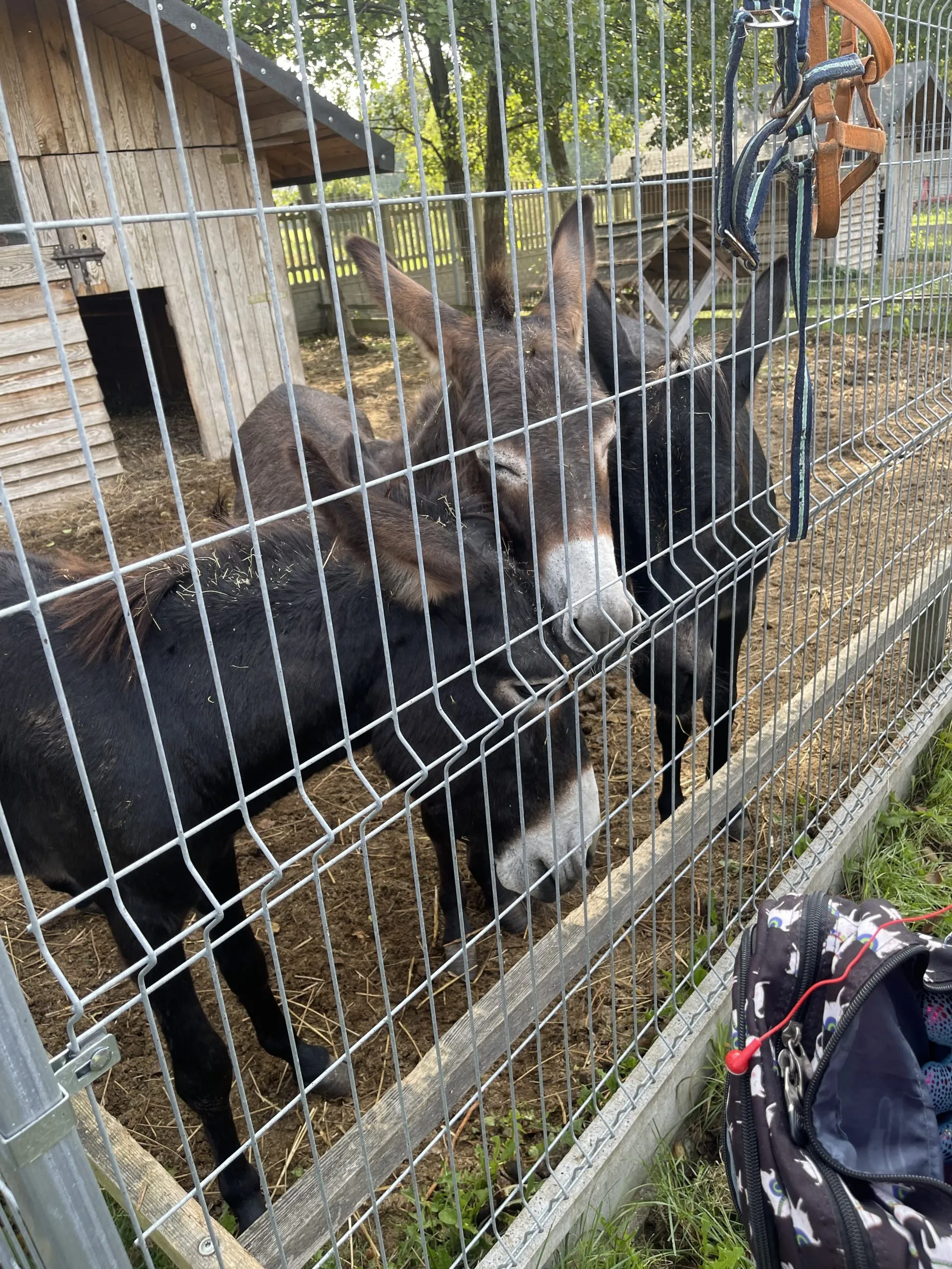 Wycieczka do Akacjowego Zakątka