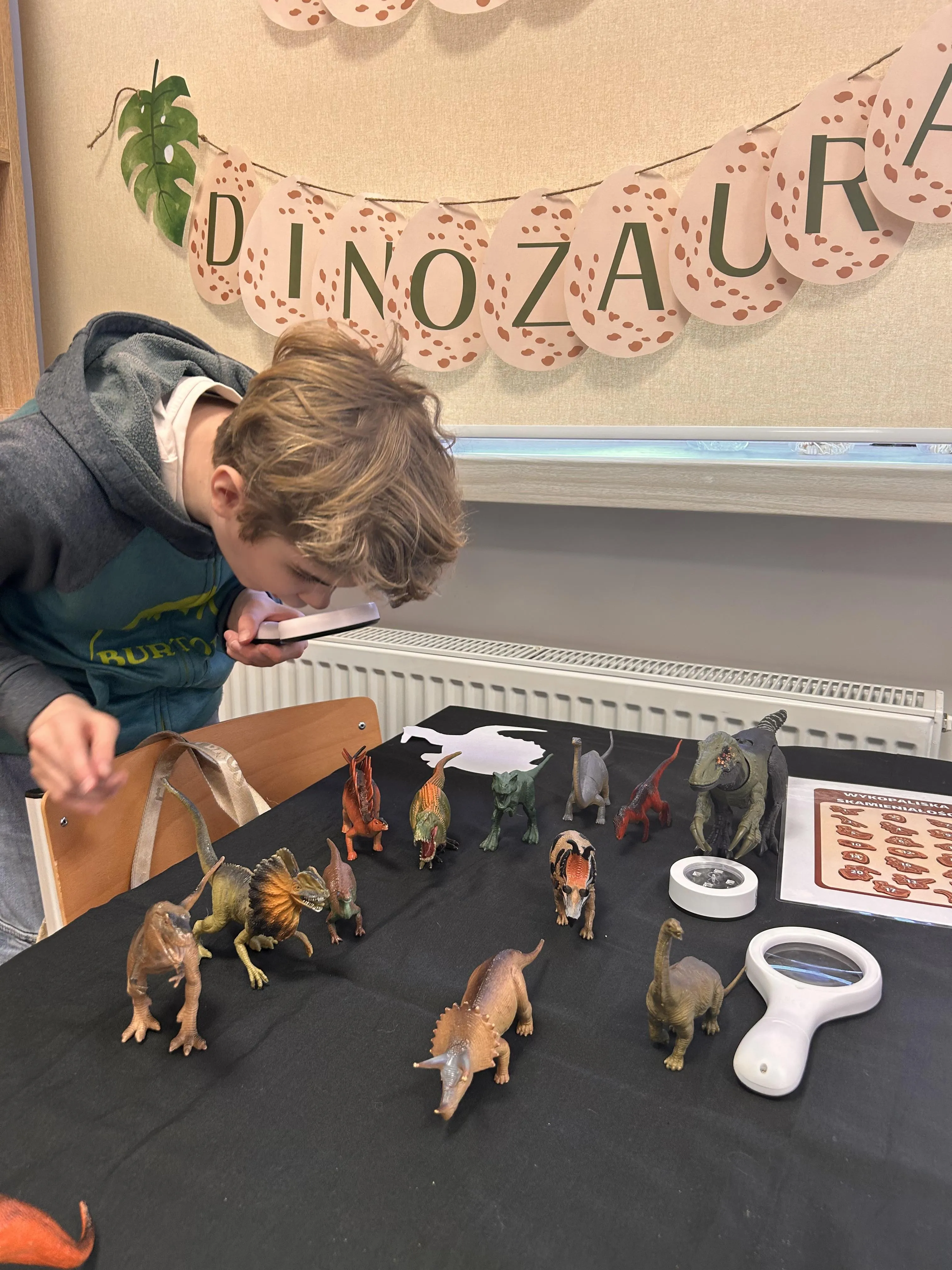 Uczeń przygląda się rozłożonym na stole różnym modelom dinozaurów